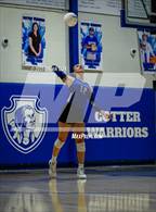 Photo from the gallery "Marshall @ Cotter"