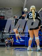 Photo from the gallery "Marshall @ Cotter"