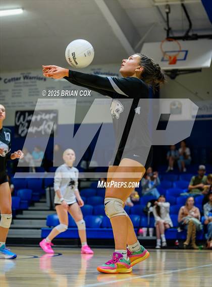 Thumbnail 3 in Marshall @ Cotter photogallery.