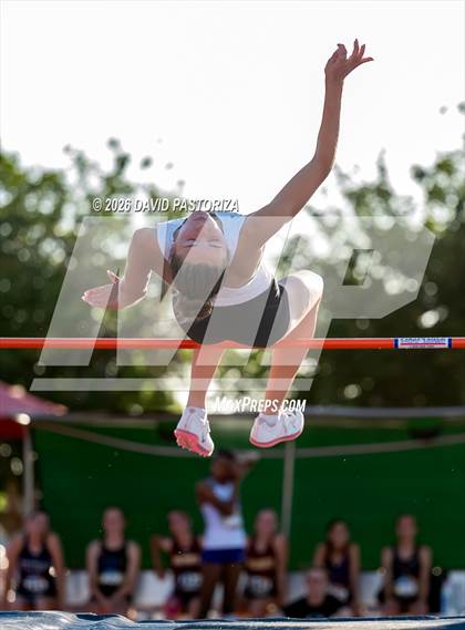 Thumbnail 3 in AIA Finals (High Jump) photogallery.