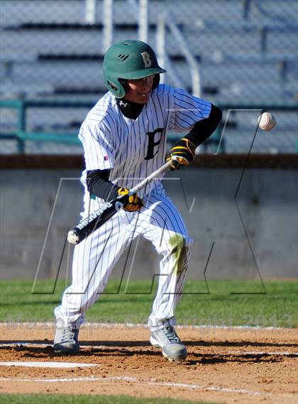 Thumbnail 2 in Meridian @ Borah photogallery.
