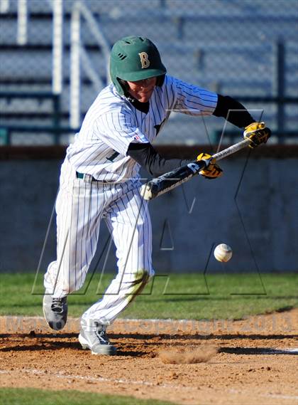 Thumbnail 1 in Meridian @ Borah photogallery.