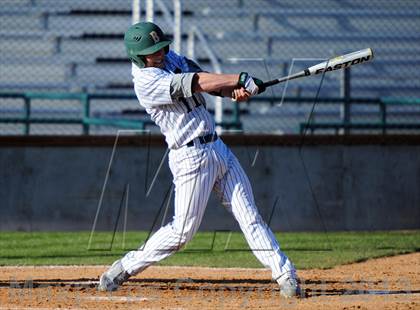 Thumbnail 3 in Meridian @ Borah photogallery.