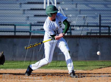 Thumbnail 2 in Meridian @ Borah photogallery.