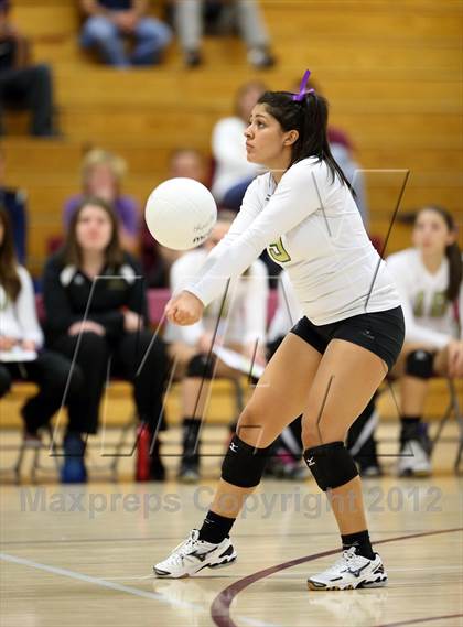 Thumbnail 3 in Bear Creek @ Chatfield photogallery.