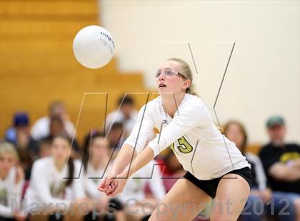 Thumbnail 3 in Bear Creek @ Chatfield photogallery.