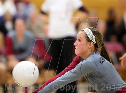 Thumbnail 2 in Bear Creek @ Chatfield photogallery.