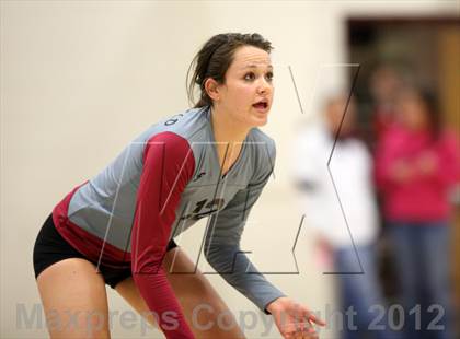 Thumbnail 3 in Bear Creek @ Chatfield photogallery.