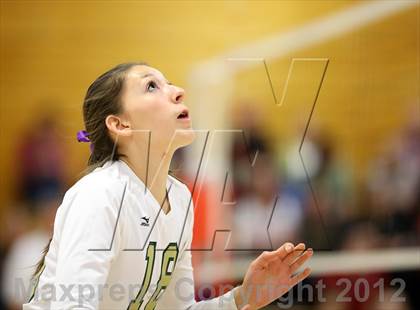 Thumbnail 2 in Bear Creek @ Chatfield photogallery.