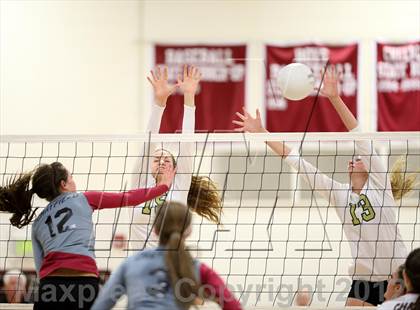 Thumbnail 3 in Bear Creek @ Chatfield photogallery.
