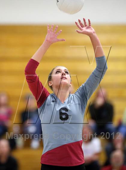 Thumbnail 1 in Bear Creek @ Chatfield photogallery.