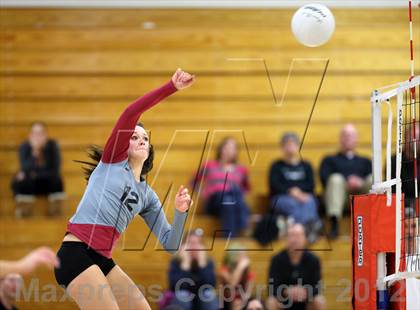 Thumbnail 2 in Bear Creek @ Chatfield photogallery.
