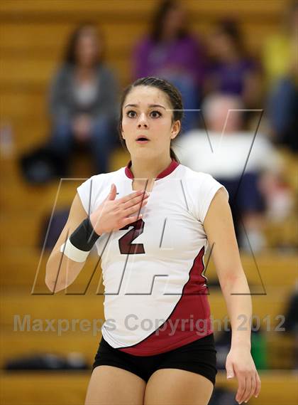 Thumbnail 3 in Bear Creek @ Chatfield photogallery.