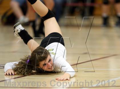 Thumbnail 3 in Bear Creek @ Chatfield photogallery.