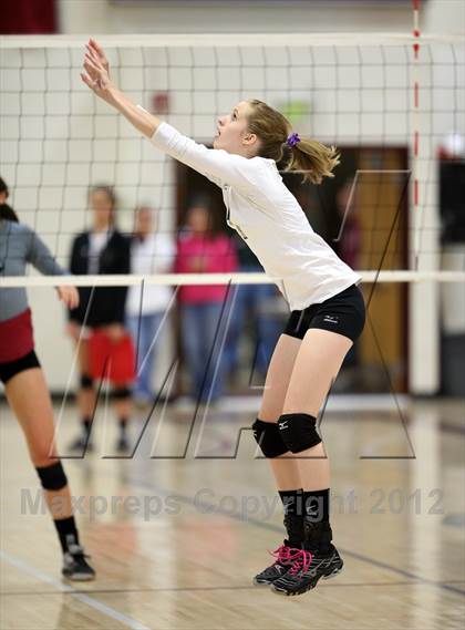 Thumbnail 2 in Bear Creek @ Chatfield photogallery.