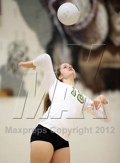 Thumbnail 3 in Bear Creek @ Chatfield photogallery.