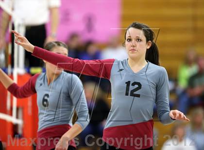 Thumbnail 1 in Bear Creek @ Chatfield photogallery.