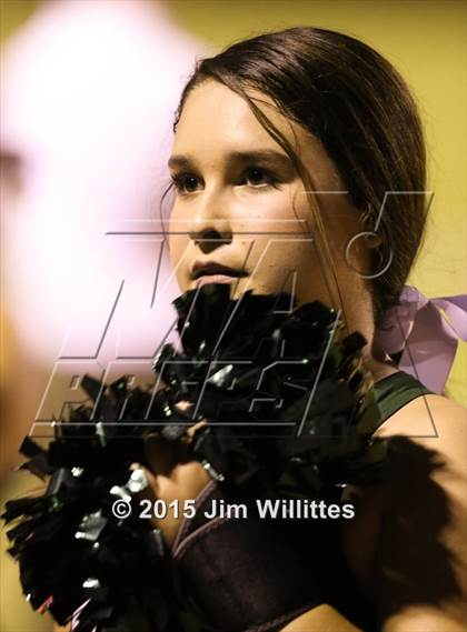 Thumbnail 3 in Cienega @ Basha photogallery.
