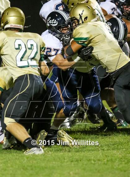 Thumbnail 3 in Cienega @ Basha photogallery.
