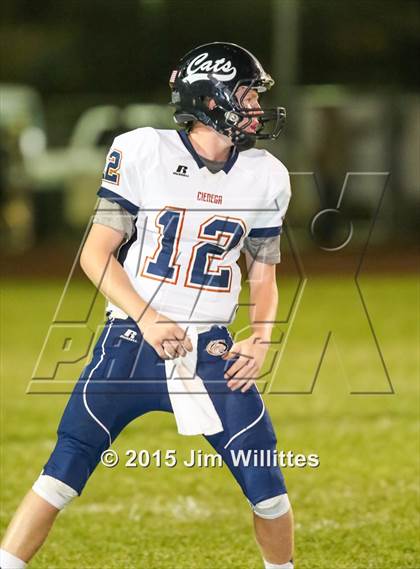 Thumbnail 3 in Cienega @ Basha photogallery.