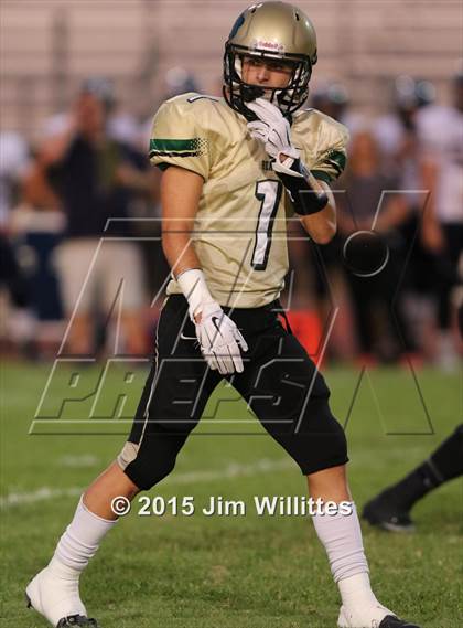 Thumbnail 3 in Cienega @ Basha photogallery.