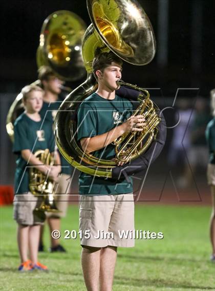 Thumbnail 3 in Cienega @ Basha photogallery.