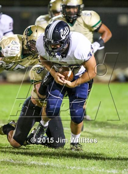 Thumbnail 1 in Cienega @ Basha photogallery.