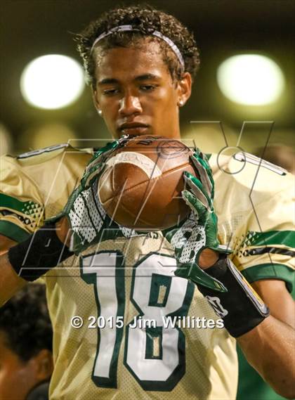 Thumbnail 2 in Cienega @ Basha photogallery.