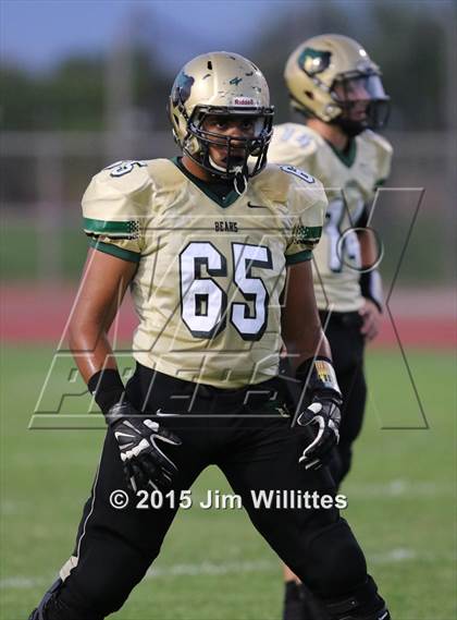 Thumbnail 2 in Cienega @ Basha photogallery.