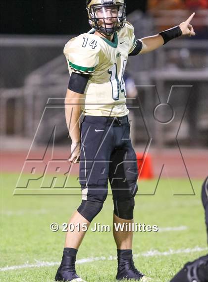 Thumbnail 3 in Cienega @ Basha photogallery.