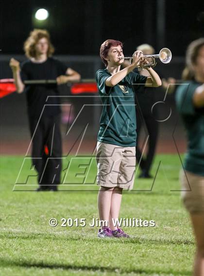 Thumbnail 1 in Cienega @ Basha photogallery.