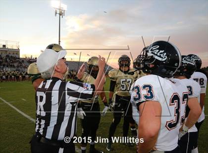 Thumbnail 3 in Cienega @ Basha photogallery.