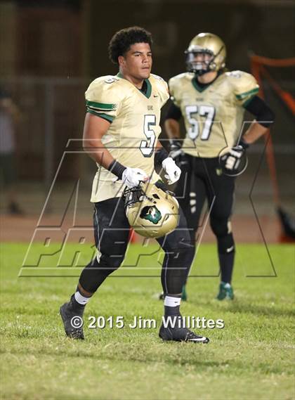 Thumbnail 3 in Cienega @ Basha photogallery.