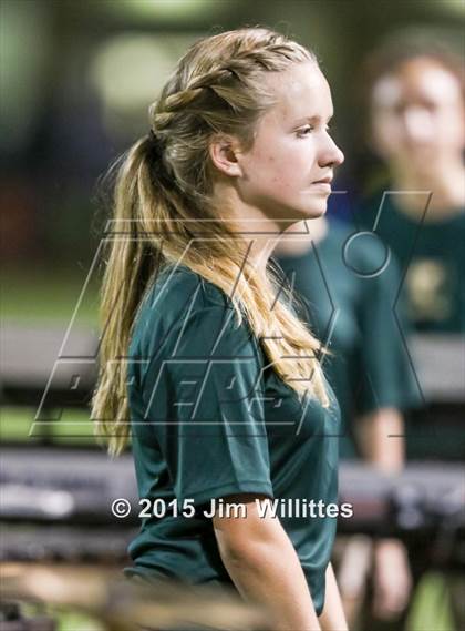 Thumbnail 3 in Cienega @ Basha photogallery.