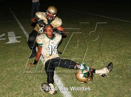 Thumbnail 3 in Cienega @ Basha photogallery.