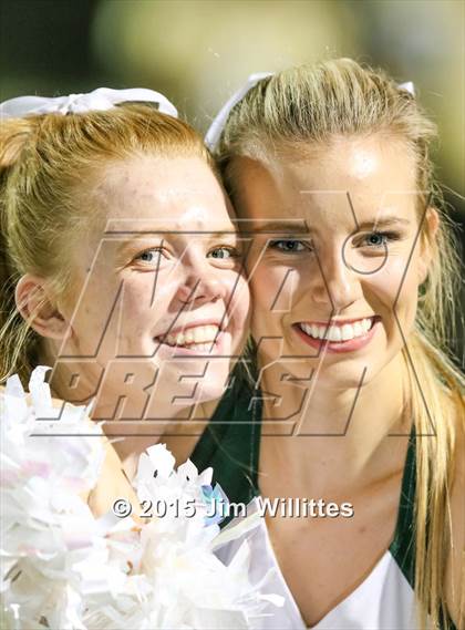 Thumbnail 3 in Cienega @ Basha photogallery.