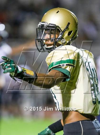 Thumbnail 2 in Cienega @ Basha photogallery.