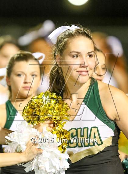 Thumbnail 2 in Cienega @ Basha photogallery.