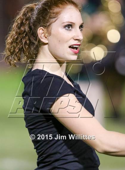 Thumbnail 3 in Cienega @ Basha photogallery.