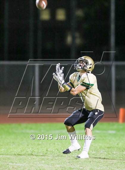 Thumbnail 3 in Cienega @ Basha photogallery.