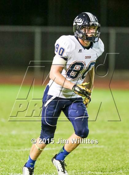 Thumbnail 2 in Cienega @ Basha photogallery.
