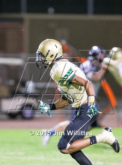 Thumbnail 3 in Cienega @ Basha photogallery.