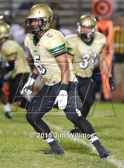 Thumbnail 3 in Cienega @ Basha photogallery.