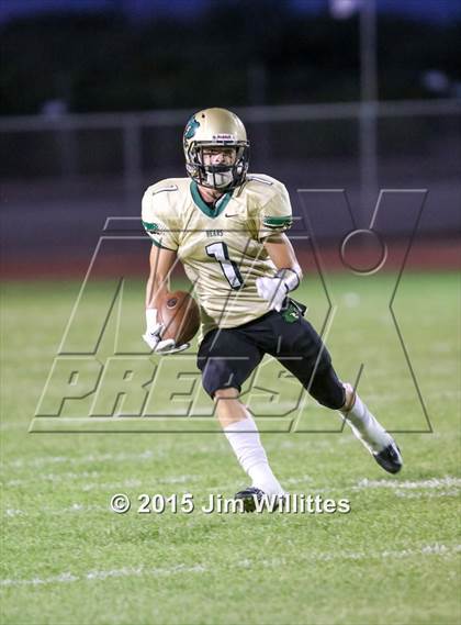 Thumbnail 2 in Cienega @ Basha photogallery.