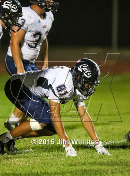 Thumbnail 2 in Cienega @ Basha photogallery.