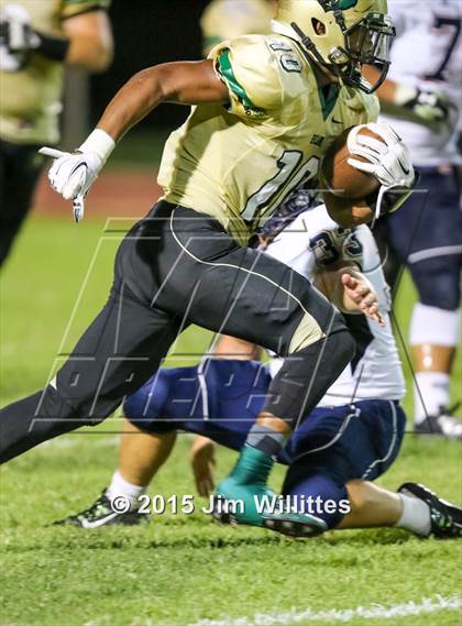 Thumbnail 1 in Cienega @ Basha photogallery.