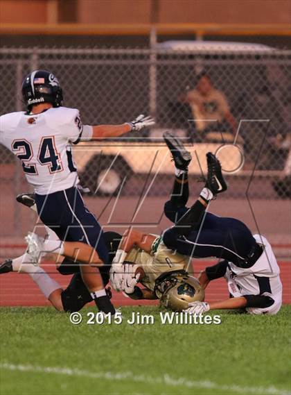 Thumbnail 3 in Cienega @ Basha photogallery.