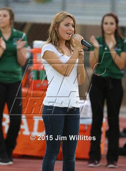 Thumbnail 3 in Cienega @ Basha photogallery.