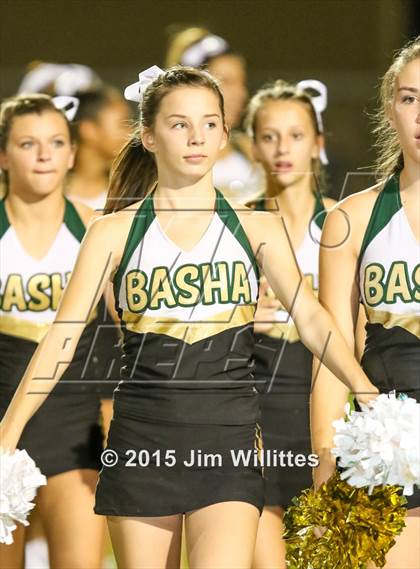 Thumbnail 1 in Cienega @ Basha photogallery.
