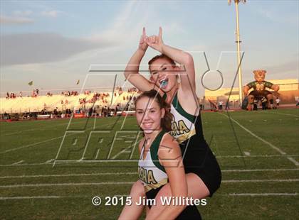 Thumbnail 2 in Cienega @ Basha photogallery.